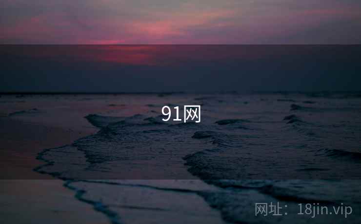 91网
