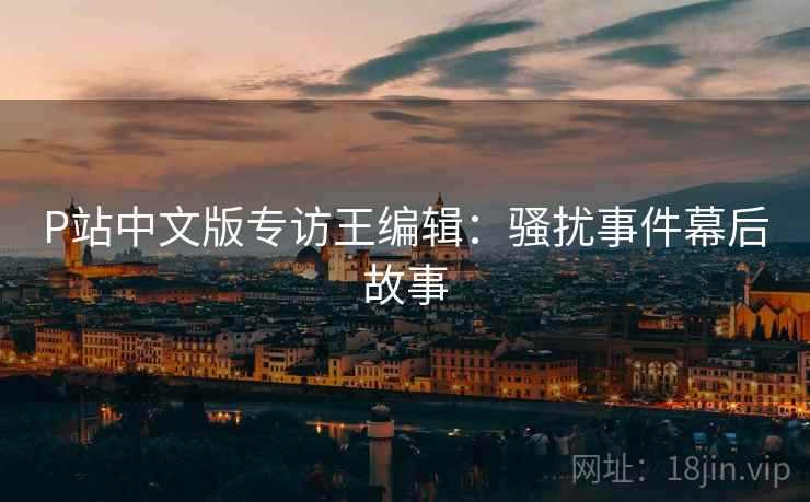 P站中文版专访王编辑：骚扰事件幕后故事