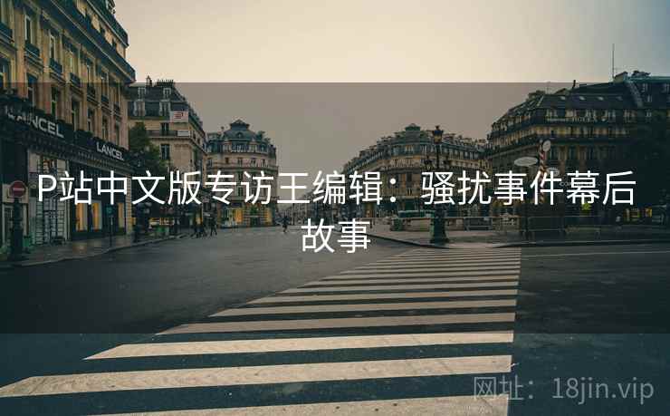 P站中文版专访王编辑：骚扰事件幕后故事