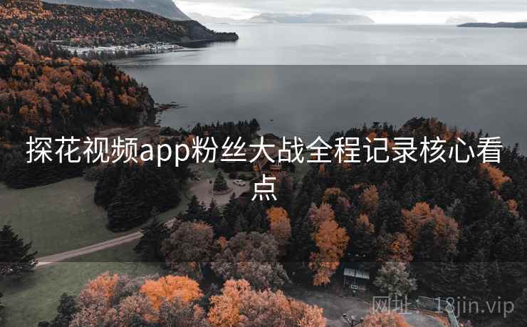 探花视频app粉丝大战全程记录核心看点