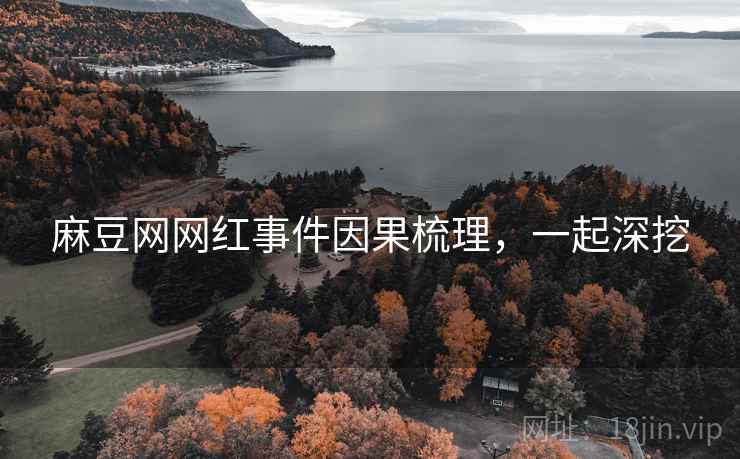 麻豆网网红事件因果梳理，一起深挖