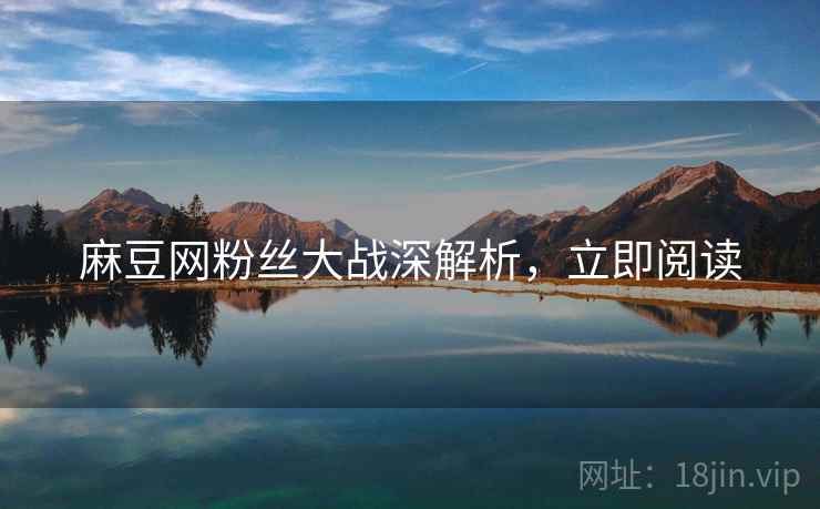 麻豆网粉丝大战深解析，立即阅读