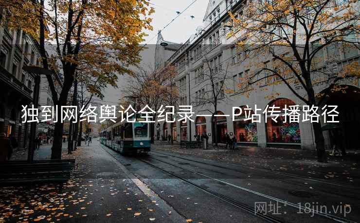 独到网络舆论全纪录——P站传播路径