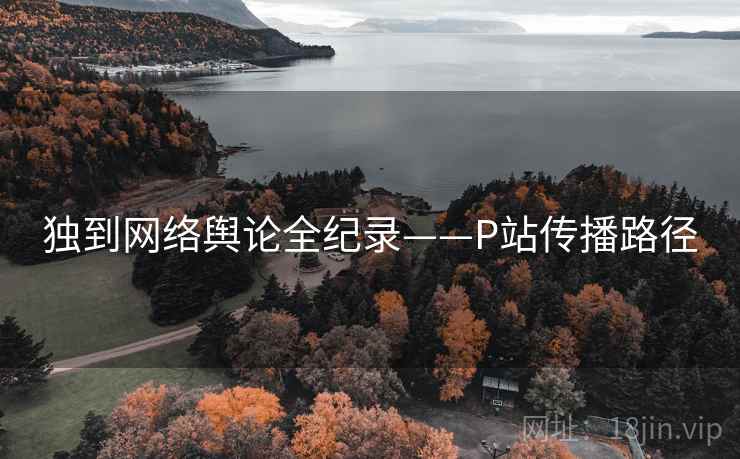 独到网络舆论全纪录——P站传播路径