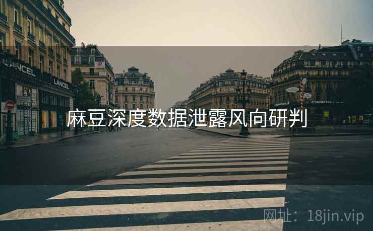 麻豆深度数据泄露风向研判