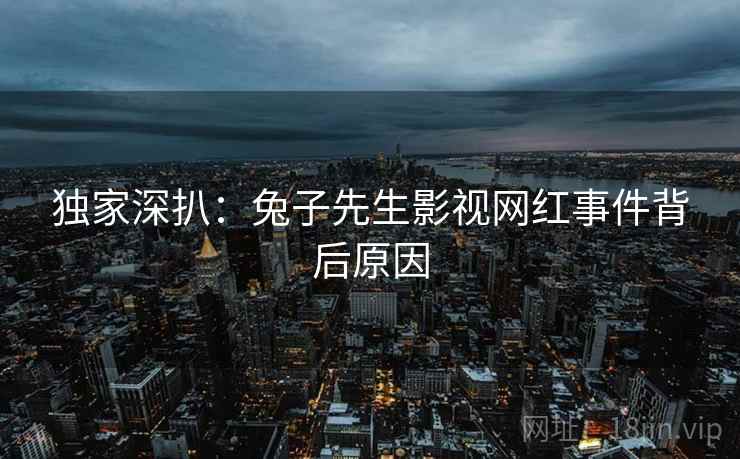 独家深扒：兔子先生影视网红事件背后原因