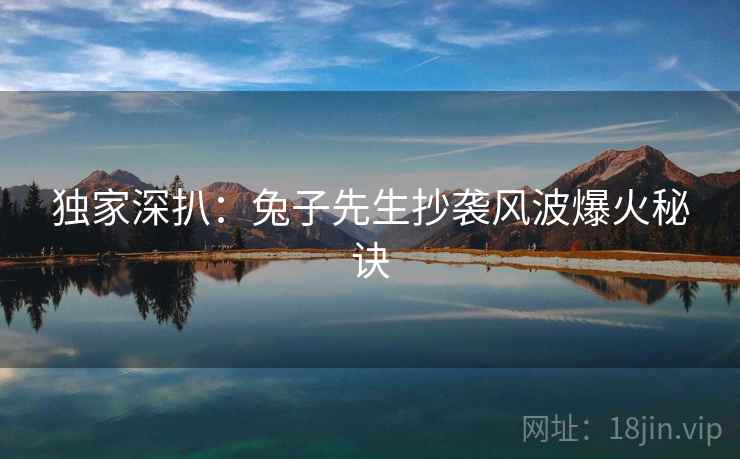 独家深扒：兔子先生抄袭风波爆火秘诀