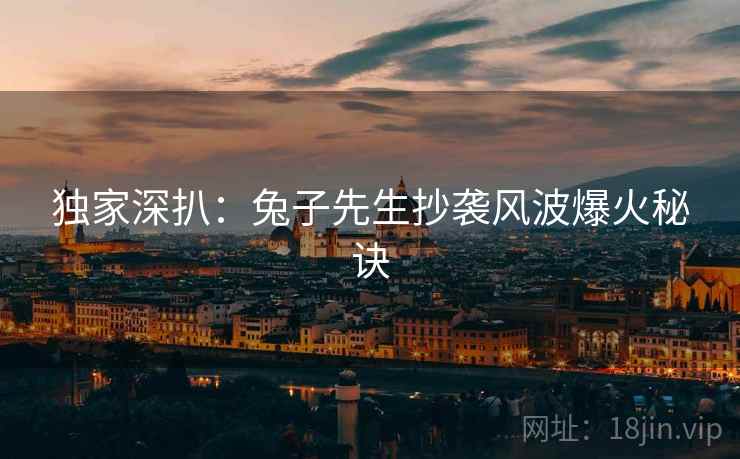 独家深扒：兔子先生抄袭风波爆火秘诀