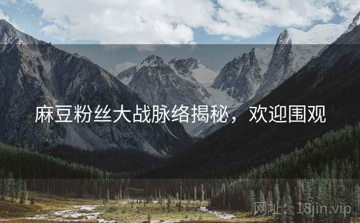 麻豆粉丝大战脉络揭秘，欢迎围观