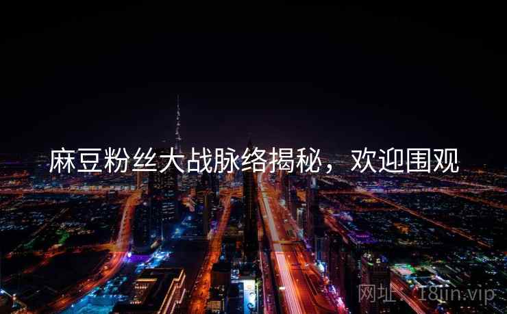 麻豆粉丝大战脉络揭秘，欢迎围观