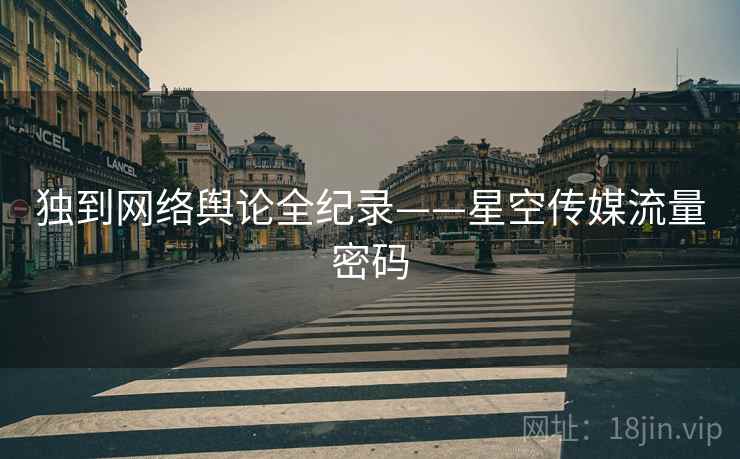 独到网络舆论全纪录——星空传媒流量密码