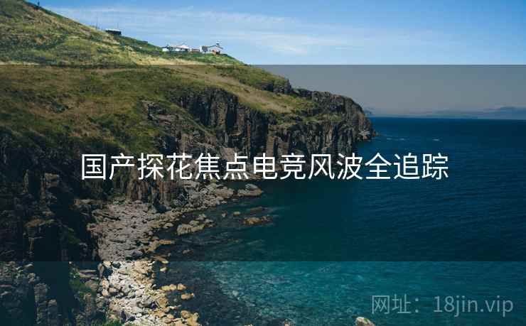 国产探花焦点电竞风波全追踪