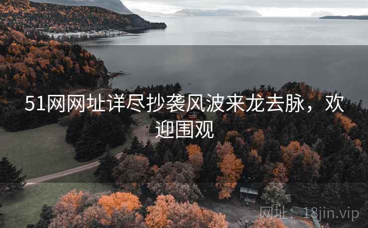 51网网址详尽抄袭风波来龙去脉，欢迎围观