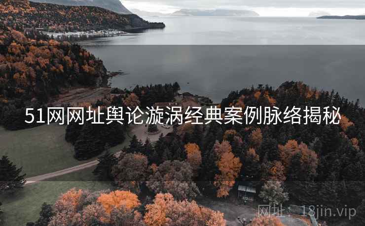 51网网址舆论漩涡经典案例脉络揭秘