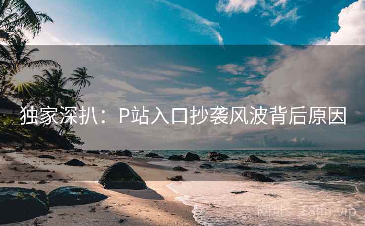 独家深扒：P站入口抄袭风波背后原因