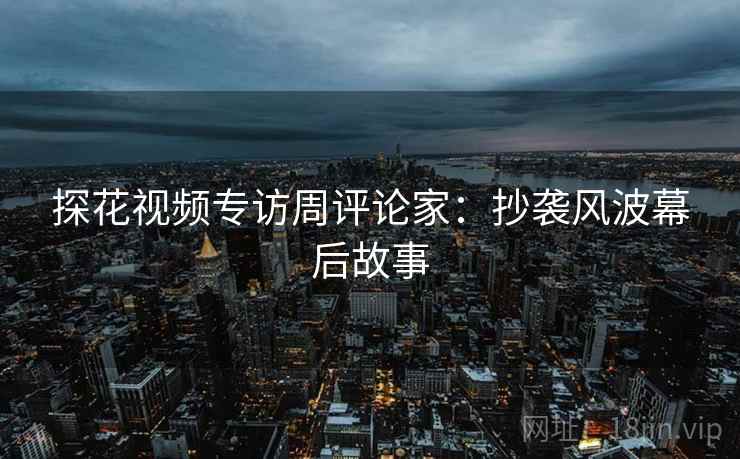 探花视频专访周评论家：抄袭风波幕后故事