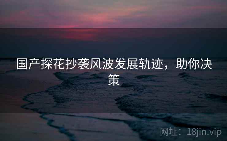 国产探花抄袭风波发展轨迹，助你决策