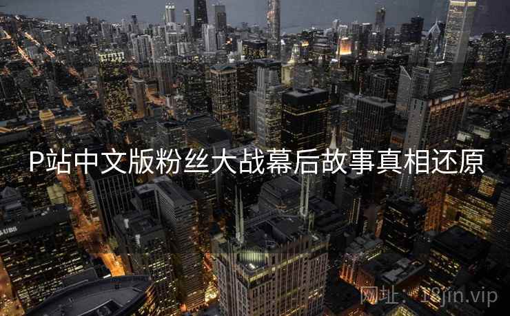 P站中文版粉丝大战幕后故事真相还原